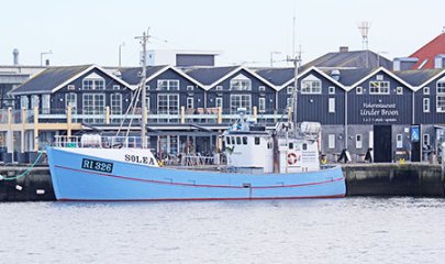 Angeltouren und Hafenrundfahrten mit dem Fischutter MS Solea