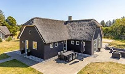 sommerferie-feriehuse-60117