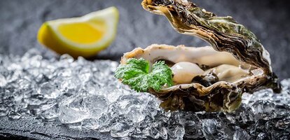 Dänische Austern sind eine Delikatesse