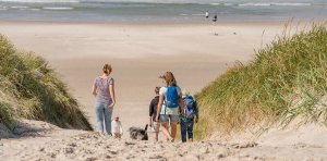 strand-graerup-nordsee-daenemark