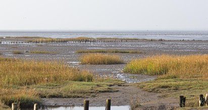 Wattenmeerlandschaft nahe Mandø