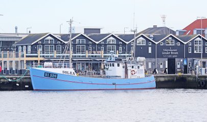 solea