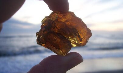 rav-paa-stranden-645x485