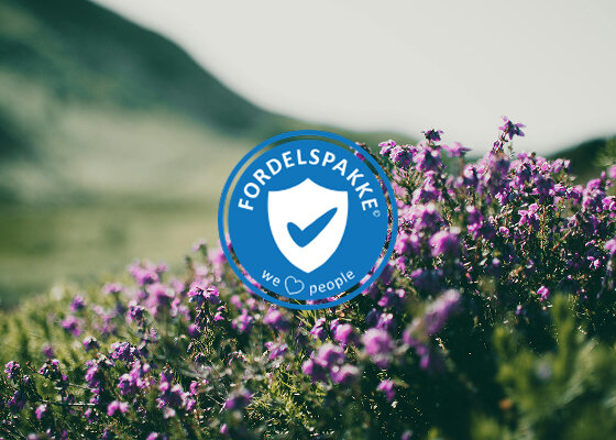 Det har aldrig skadet at være godt dækket ind