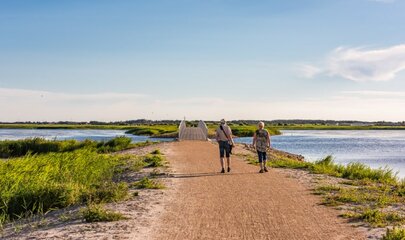 Vandring på Bagges Dæmning