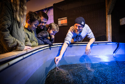 Jyllands Akvarium Rührbecken