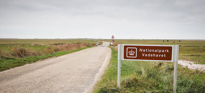 skallingen-nationalpark-vadehavet