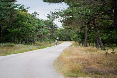 Waldweg in Houstrup zum Radfahren