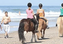 Reiterhof Vinterlejegaard bietet Ausritte am Strand