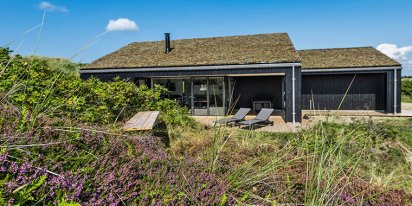 Die Heide blüht Ende August und Anfang September