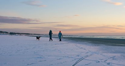 ferienhausurlaub-mit-hund-silvester