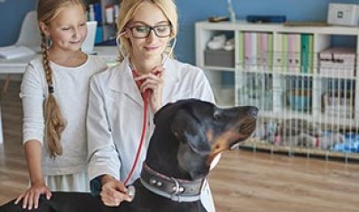 Tierarzt in Dänemark