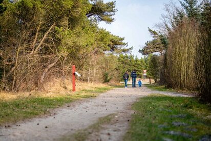 Kirkeby Plantage