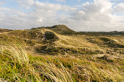 Henne-Strand-vandrerute-hede