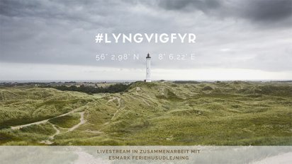 lyngvigfyr_de