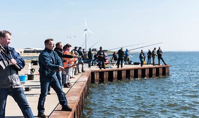 hvide-sande-sildefestival-hvide-sande-fiskeferie