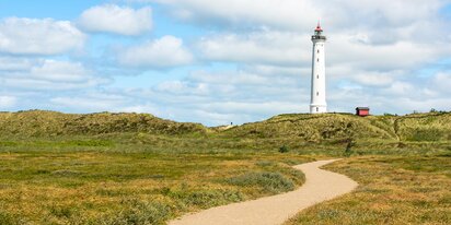 Sommerhus til 40 personer Naturstien
