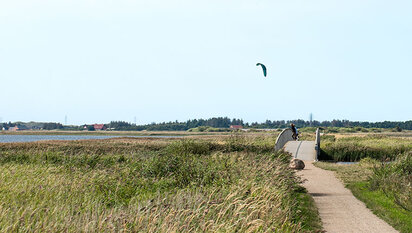 søndervig-vandretur-bagges-damm