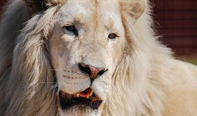 Zoologiske haver og dyreparker i Danmark