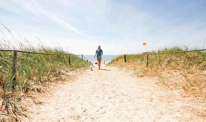 Den store strandguide