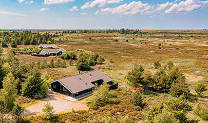 ferienhaus-roemoe-82038-2