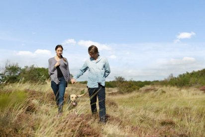 Unterwegs mit dem Hund in Dänemark