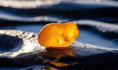 Bernstein in Dänemark am Strand finden