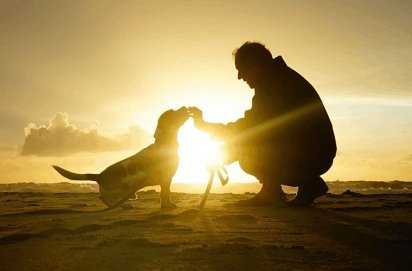 Uden hundesnor på stranden i vinterhalvåret