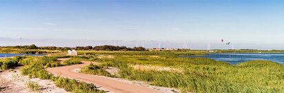 Bagges Dæmning ved Ringkøbing Fjord