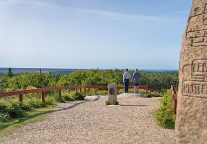 Blåbjerg klitplantage