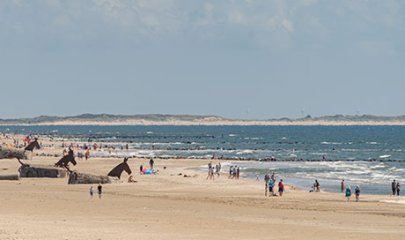 blåvand-strand-vandrerute
