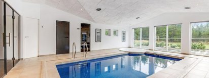 Ferienhaus-mit-pool-in-daenemark-60008