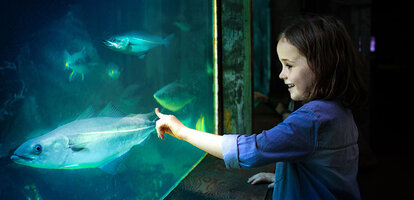 Jyllands Aquarium in Thyborøn