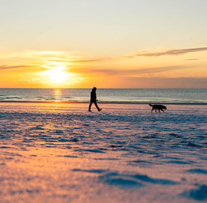 Urlaub mit Hund an der Nordsee über Silvester