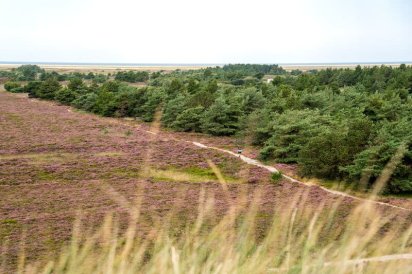 Heidelandschaft bei Høstbjerg