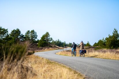 Cykling-ved-Hostbjerg