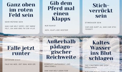 Dänische Redewendungen zum Thema Aufgeregtheit