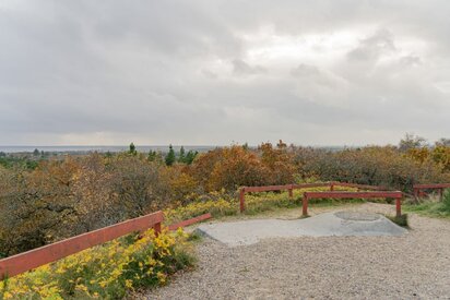 Udkigspunkt med udsigt over Blåbjerg Plantage