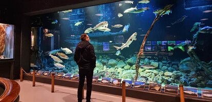 Fischerei-und-Seefahrtsmuseum-in-Esbjerg
