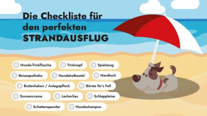 Urlaub mit dem Hund am Strand - Checkliste
