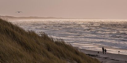 Spaziergang am Strand von Hvide Sande