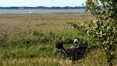 Søndervig-vandrerute-cykelsti