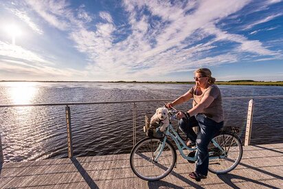 Radfahren um den Ringkøbing Fjord