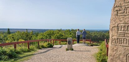 blaabjerg-klitplantage-aussicht-blaabjerg-gedenkstein