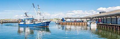 Hvide Sande Havn