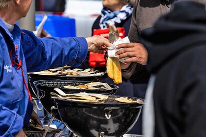 Tørrede dabs dag in Hvide Sande