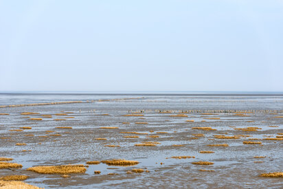 Nationalpark Wattenmeer bei Rømø