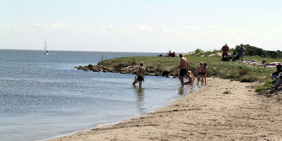 Badegæster ved Ringkøbing Fjord