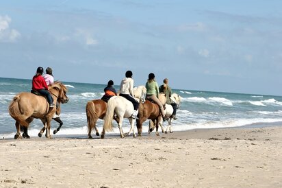 Reiten-am-Strand_1