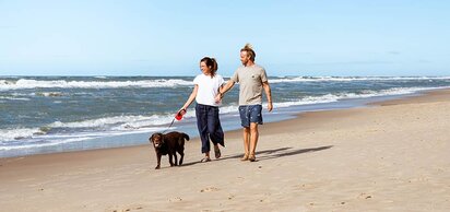 Urlaub an der Nordsee im Ferienhaus mit Hund